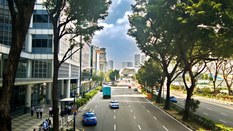 A City Street in Singapore Lined with Tall Trees, Modern Buildings, and Vehicles