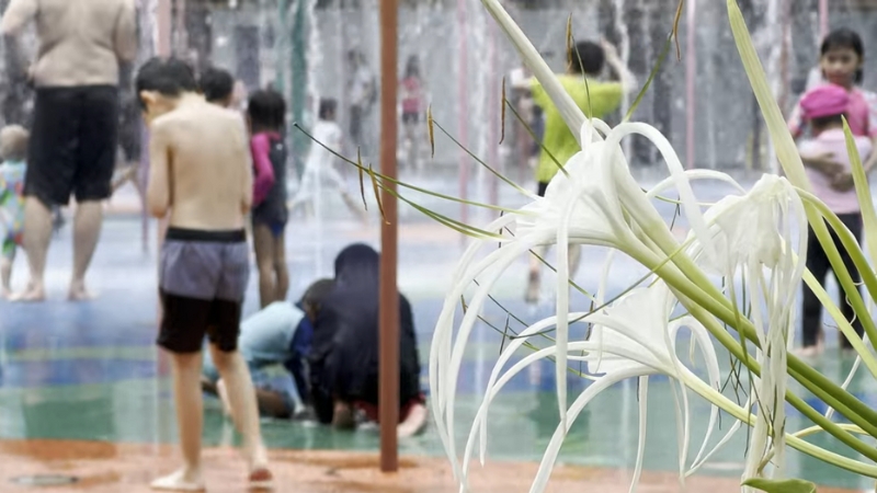 Children Playing at A Splash Pad in The Far East Organization Children’s Garden