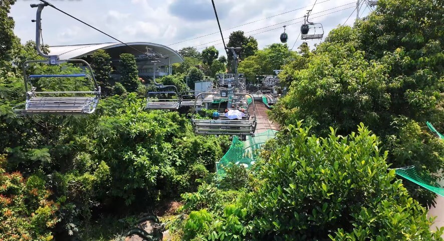 Passengers enjoy the scenic ride amidst dense foliage