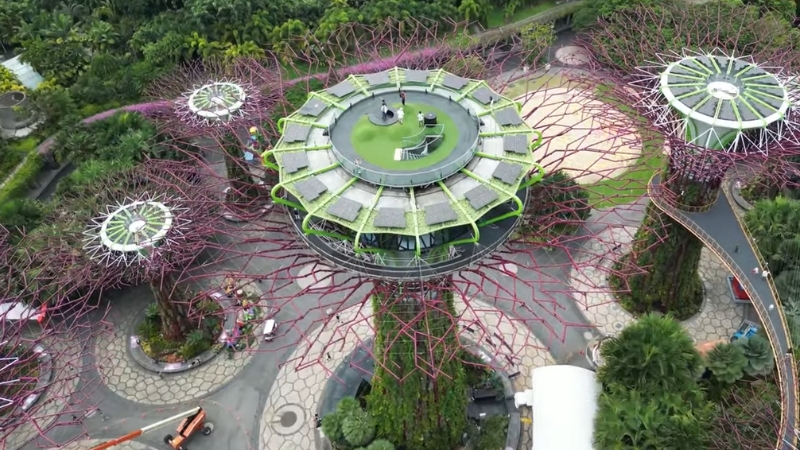 Aerial View of The Supertree Grove and OCBC Skyway with Visitors on The Platforms