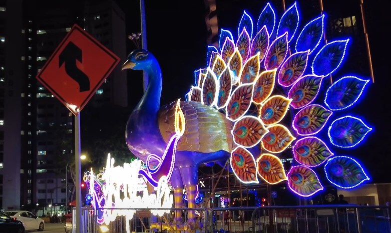 A large peacock statue illuminated at night, showcasing vibrant colors against a dark sky
