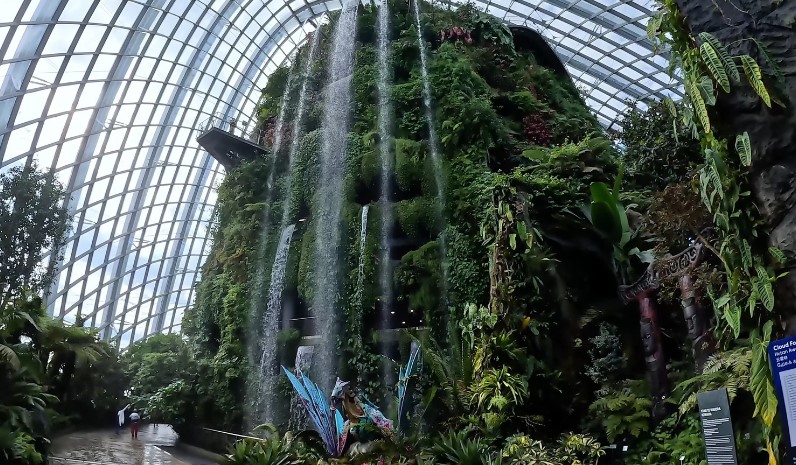 Waterfall inside the Cloud Forest