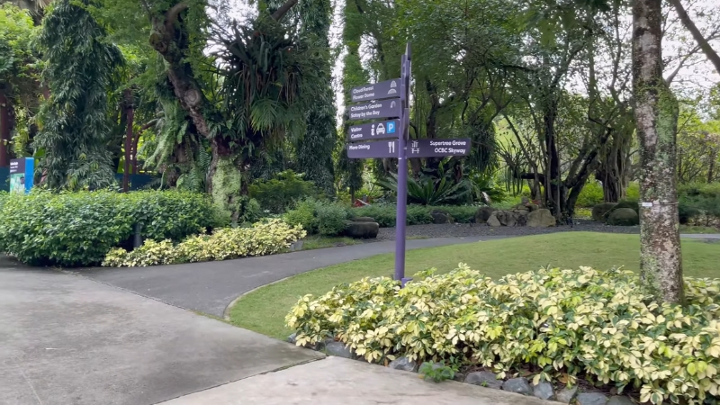 A quiet pathway surrounded by greenery leads toward the Chinese Garden at Heritage Gardens