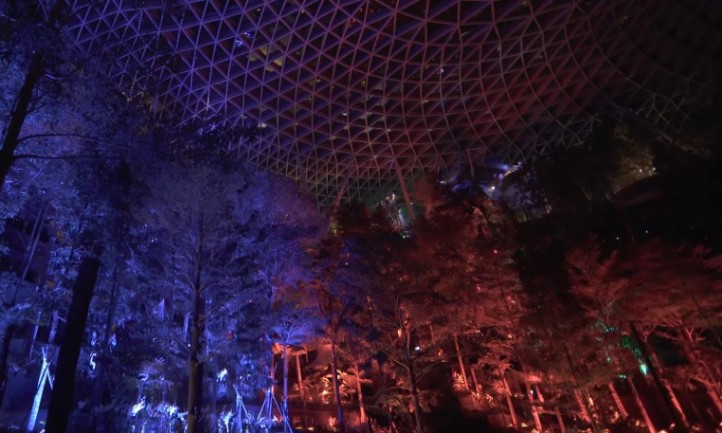 A night view of a Shiseido Forest interior, featuring illuminated trees