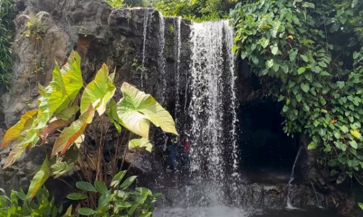 Waterfall in Singapore Botanic Gardens
